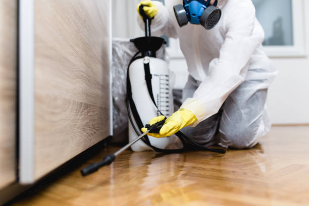 Best Emergency Pest Control  in Fishhook, AK