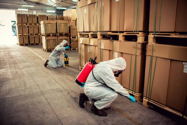 Best Affordable Pest Control Services  in Fishhook, AK
