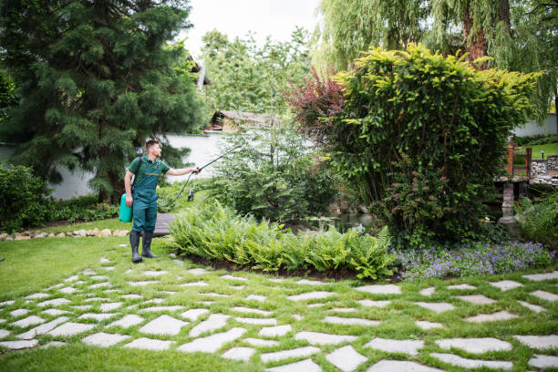 Best Pest Control for Businesses  in Fishhook, AK