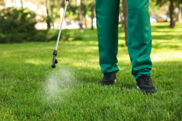 Best Pest Control for Restaurants  in Fishhook, AK