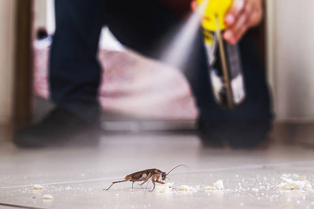 Best Mosquito Control Services  in Fishhook, AK